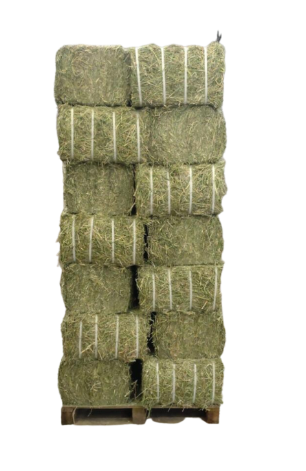 Double Compressed Meadow Hay