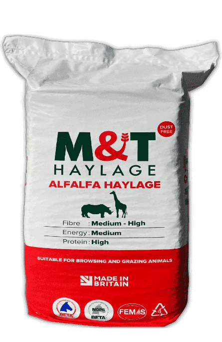 Alfalfa Haylage